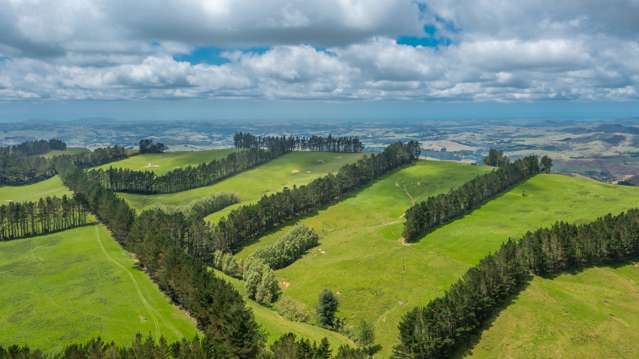 466 Tourere Road Waipukurau_3