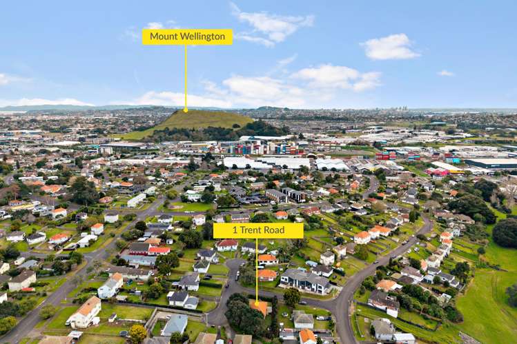 1 Trent Road Panmure_26