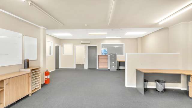 19 Saxon Street Phillipstown_2