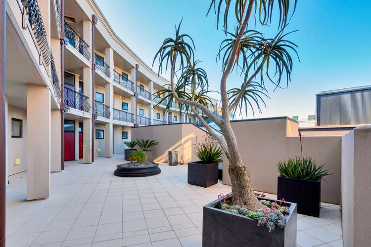 2i/6 Burgoyne Street Grey Lynn_9