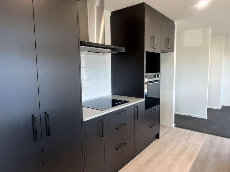 22 Martini Avenue Leeston_3