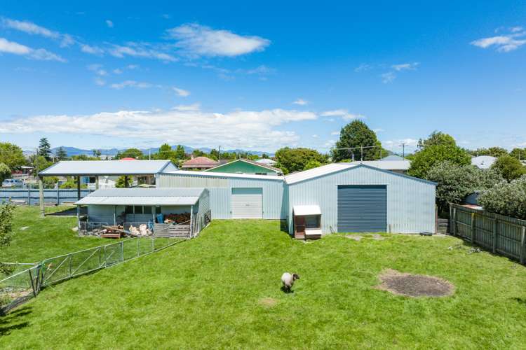 14 Hathaway Street Spring Creek_24