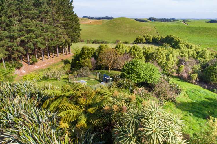 484 Finnis Road Pohangina_7