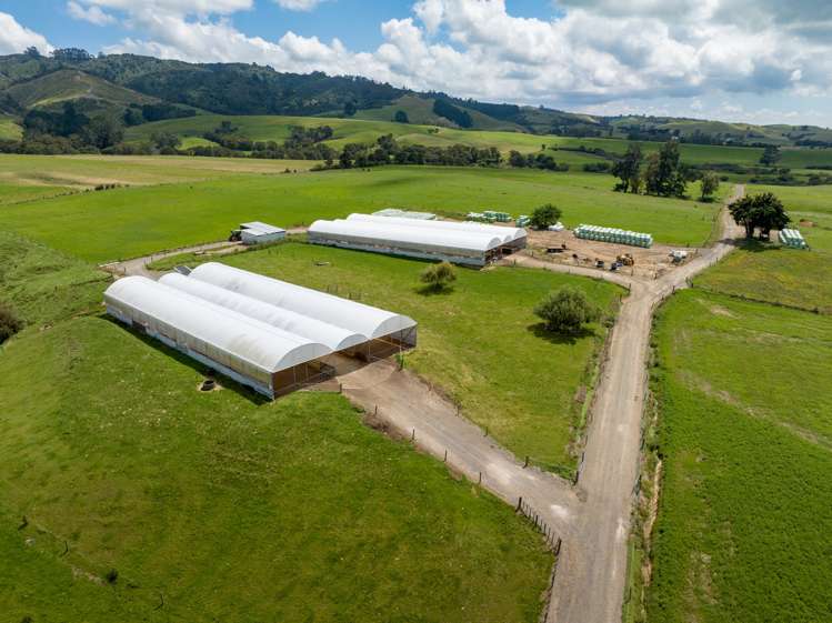 224 Herbert Road Morrinsville_8