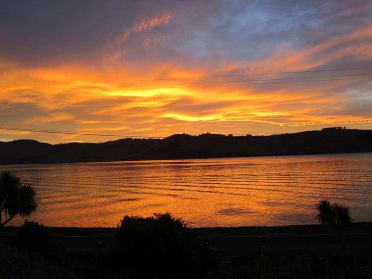 792 Harington Point Road Otakou_19