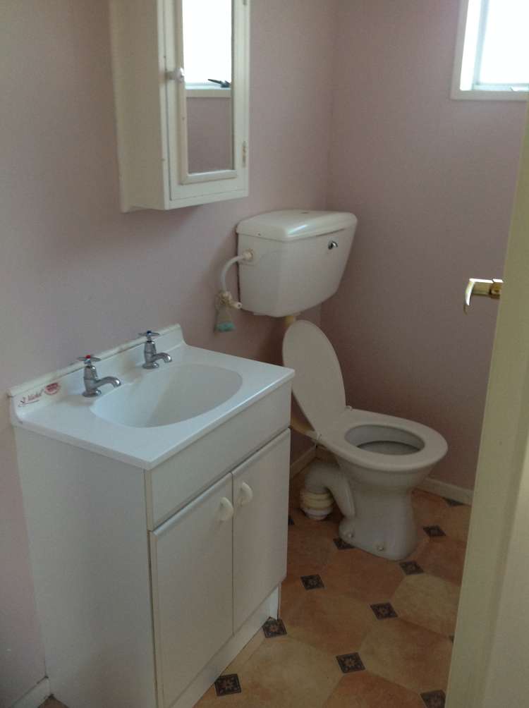 1a Snell Street Morrinsville_9