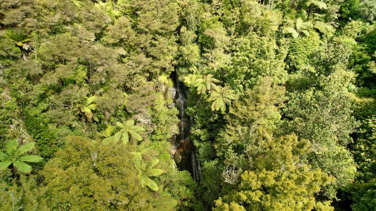 717 Wright Road Aongatete_19