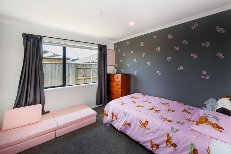 22 Monarch Drive Ashhurst_19