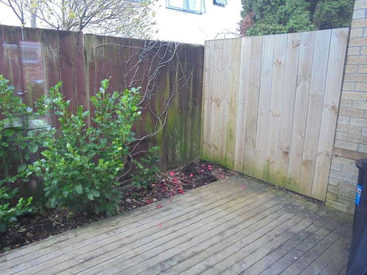 30b Hogan Street Hamilton East_16