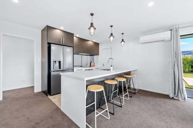 1041 Goulds Road Rolleston_4