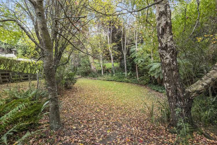 84 Spottiswoode Street Tainui_20