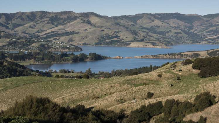 5447 Christchurch Akaroa Road Duvauchelle_25