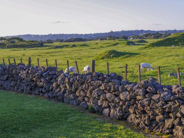 7 Kiekie Road Mangere Bridge_4