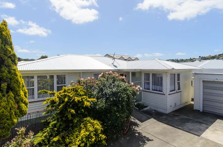 13 Brussels Street Miramar_15