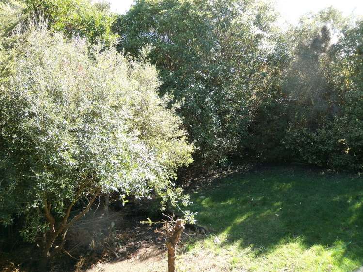 16 Koromiko Street Kaka Point_16