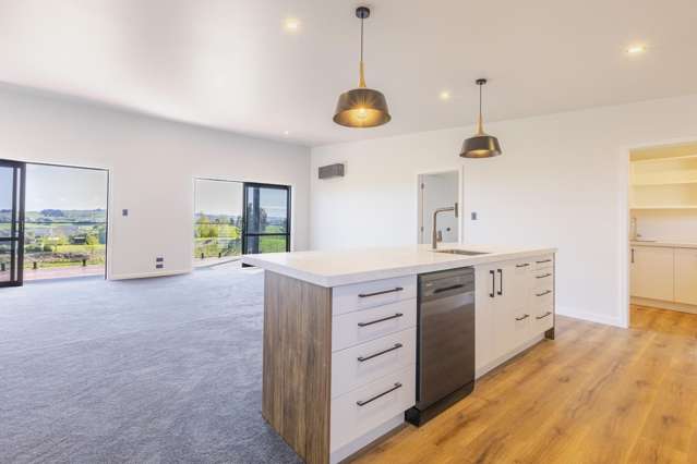 44B Mangatarata Road Waipukurau_4