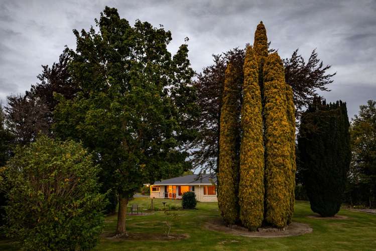 77 Colemans Road Springlands_30