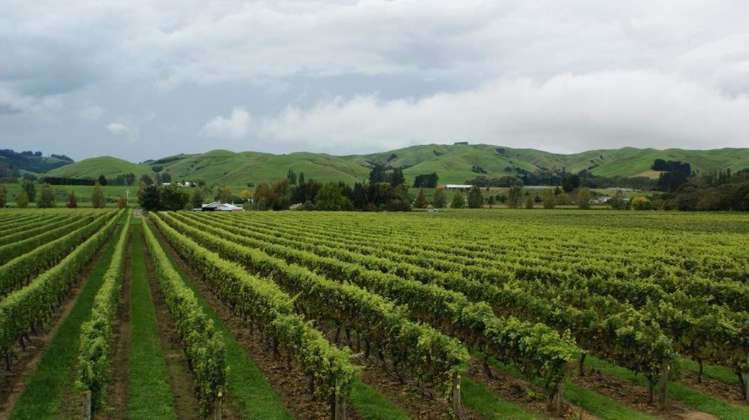 483 Dartmoor Road Puketapu_10