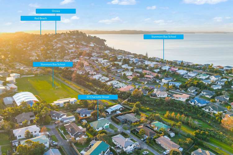 37 Charlotte Street Stanmore Bay_25