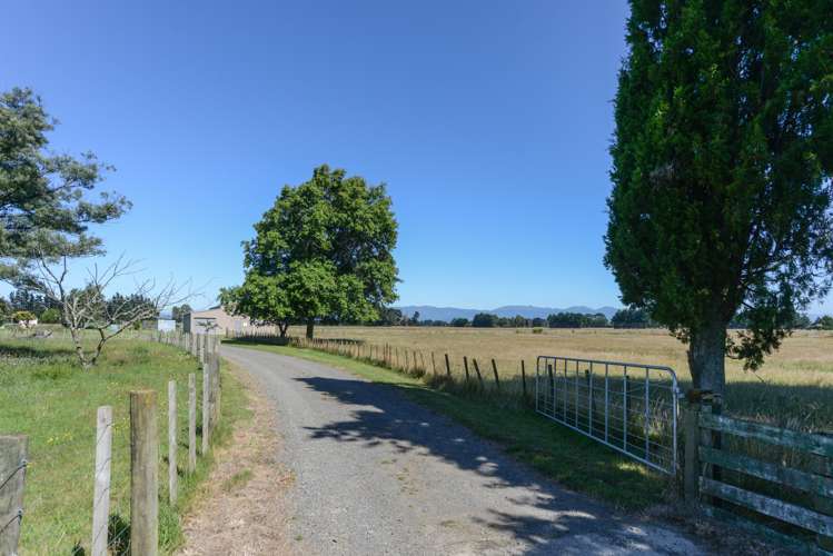 44a Ormondville Road Takapau_13