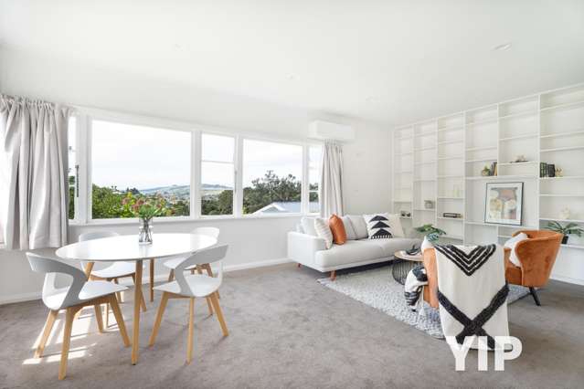 22 Elliott Street Johnsonville_2