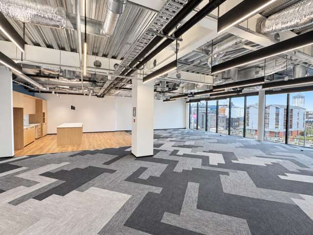 213 Tuam Street City Centre_4