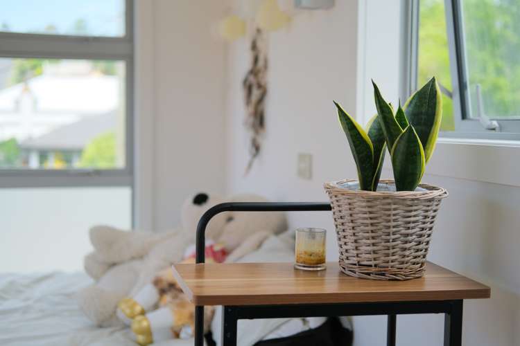 79 North Road North East Valley_20