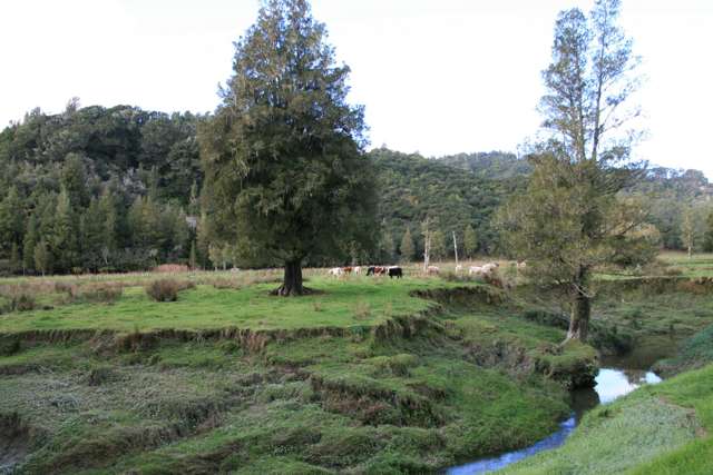 0n Mangaonga Road Ahititi_2