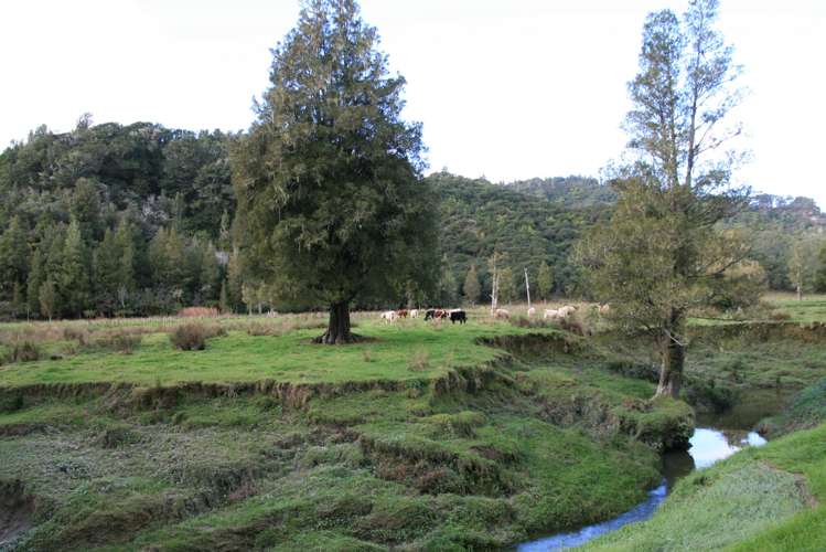 0n Mangaonga Road Ahititi_2