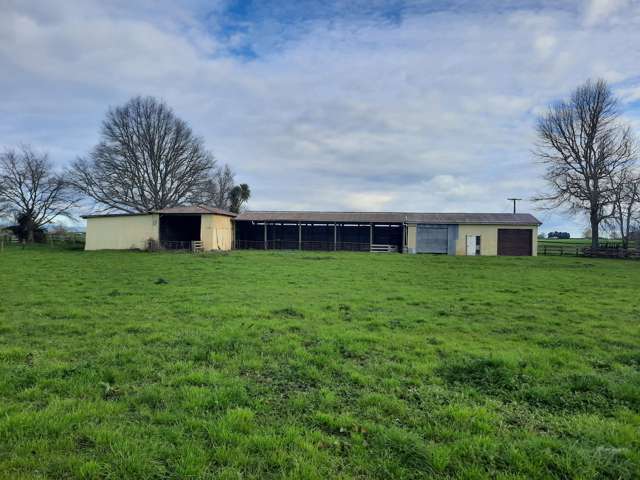 154 Chamberlain Road Te Awamutu_4