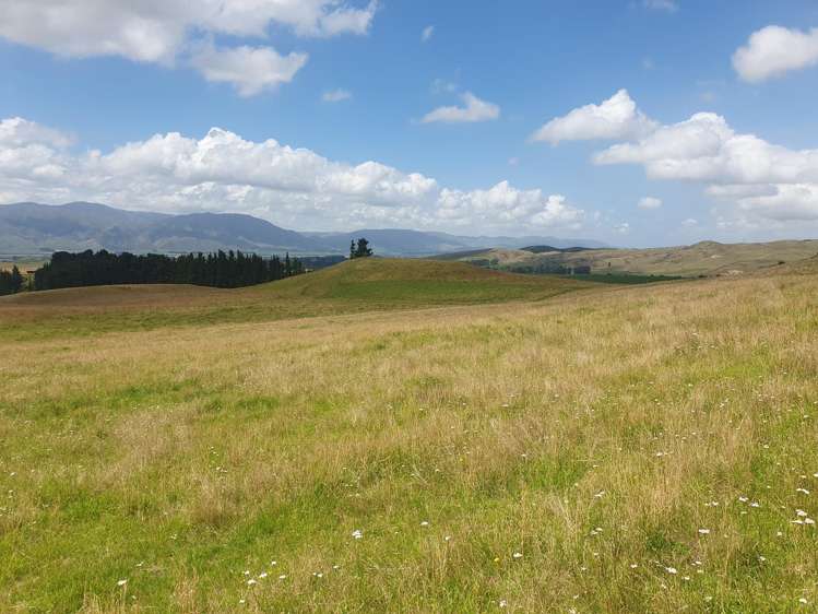 Lot 2 Cricklewood Rise Grants Road Kurow_18