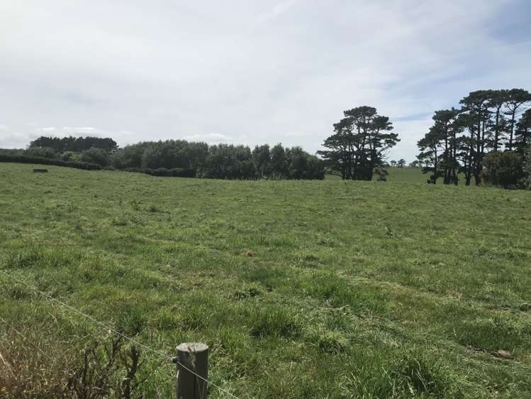 1703 Eltham Road Riverlea_2