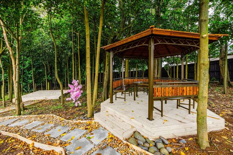 5 Spudman Rise Pukekohe_5