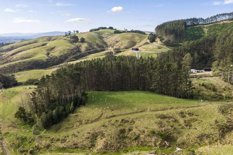 58 Greens Road Linton_12