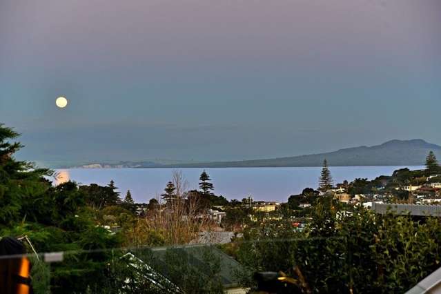 12c Sunrise Avenue Mairangi Bay_2