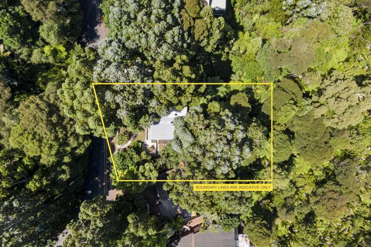33 York Road Titirangi_14