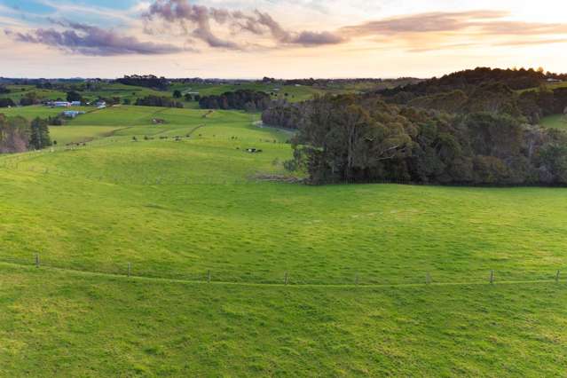 Lot 8/50 Bush Road Pukekohe_1