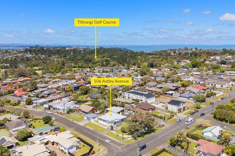 106 Astley Avenue New Lynn_29