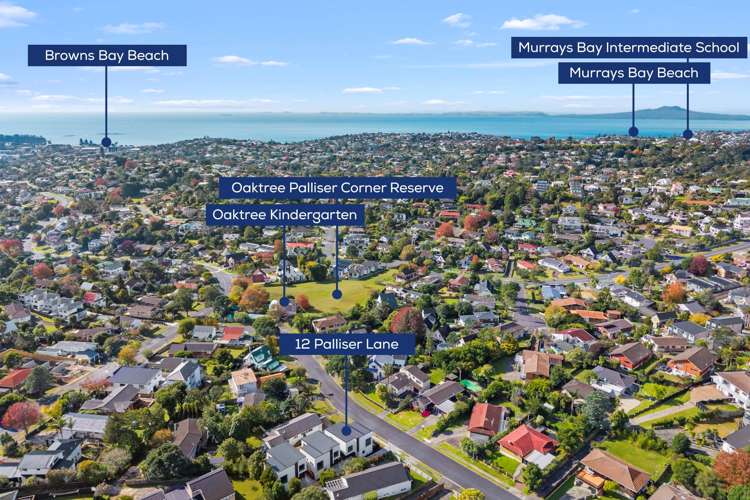 12a Palliser Lane Browns Bay_30