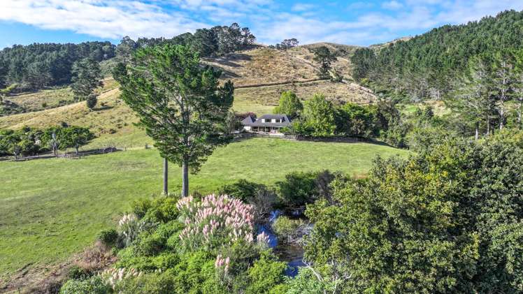 183b Thorp Road Paeroa_16