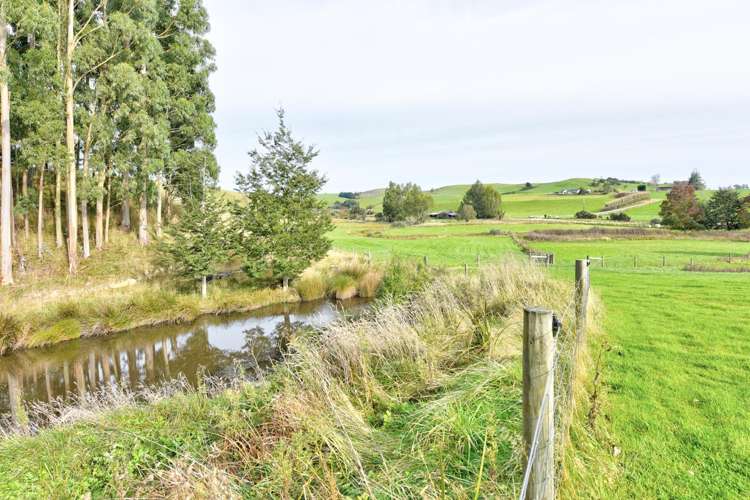 28 Mandeville Road Winton Surrounds_22