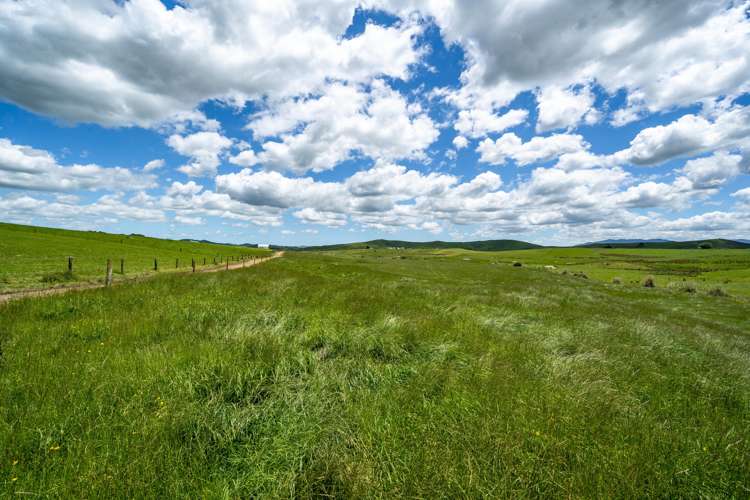 360 Manuel Road Tauhei_12