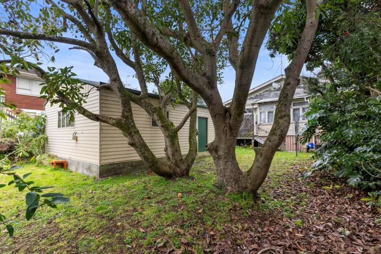 273 Balmoral Road Sandringham_11