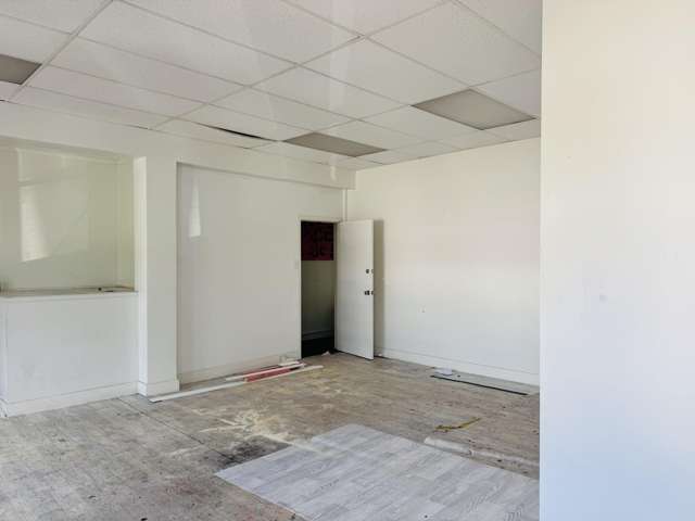 327C Dominion Road Mount Eden North_4