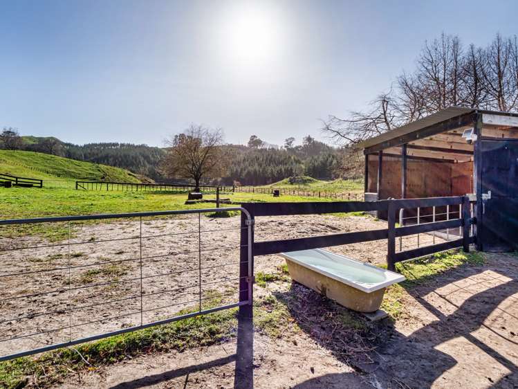 402a Crawford Road Wairoa_13