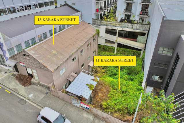 11 Karaka Street Eden Terrace_4