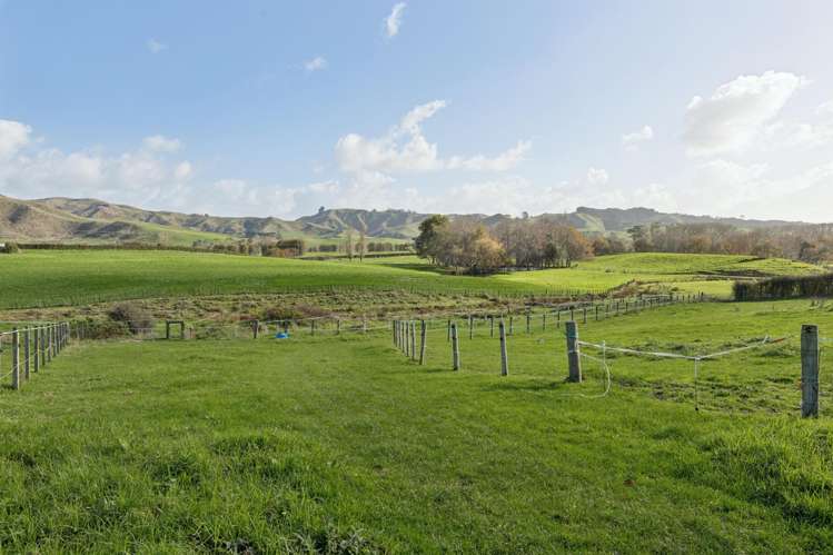 41 Matahuru Road Waiterimu_35