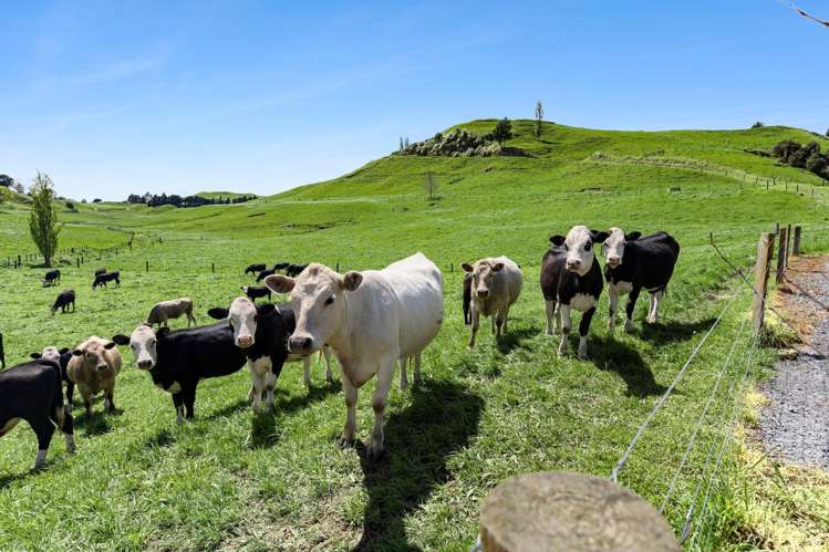 141 Puketirau Road Tirau_2