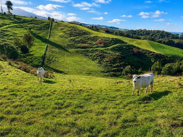 194E Pekanui Road Pirongia_4