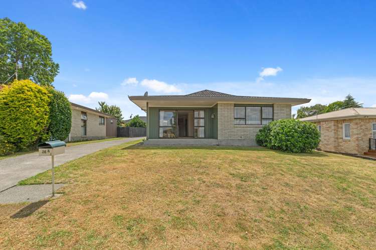 26a David Street Morrinsville_17